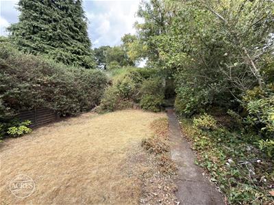 Picture 25